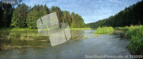 Image of River Vilija panorama