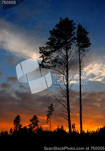 Image of sunset with a cloud