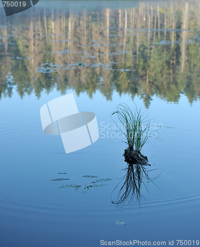 Image of Wood lake