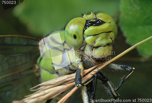 Image of To keep for a straw.