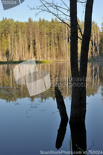 Image of Wood lake