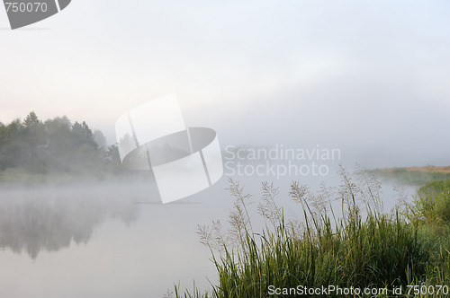 Image of Morning river mist