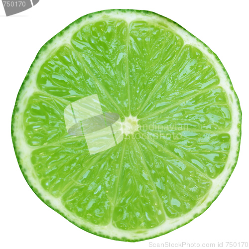 Image of Lime