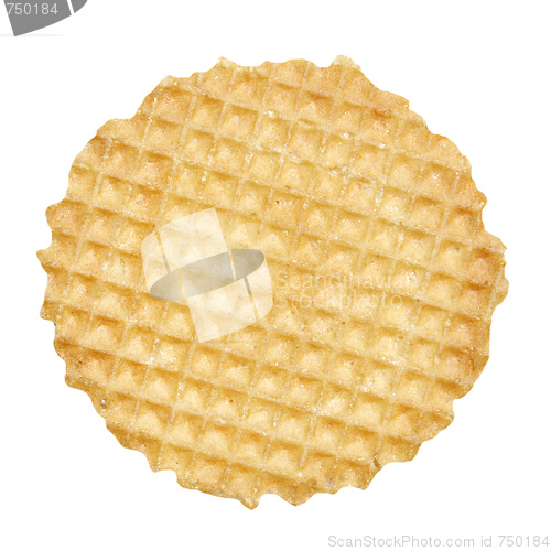 Image of Cookie biscuit