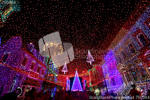 Image of The Osborne Family Spectacle of Dancing Lights