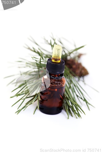 Image of fir tree essential oil