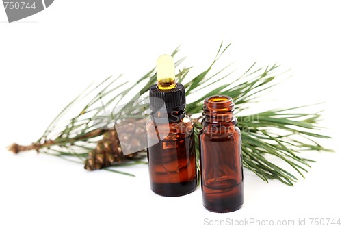 Image of fir tree essential oil