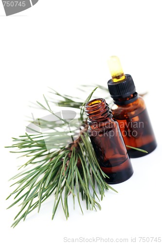 Image of fir tree essential oil