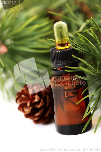 Image of fir tree essential oil