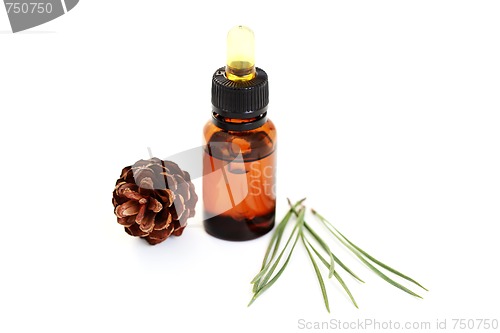 Image of fir tree essential oil