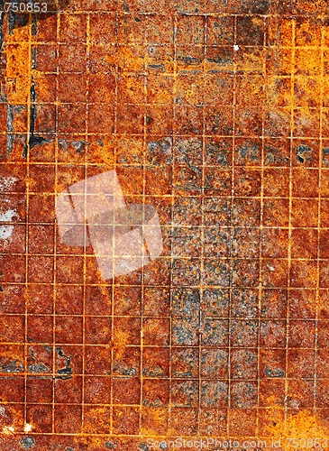Image of Rusty