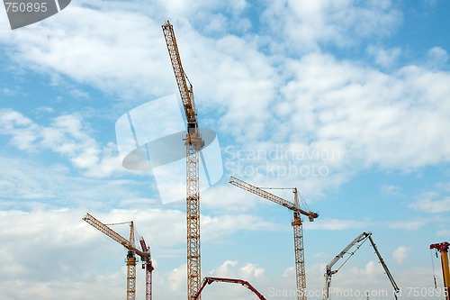 Image of Cranes