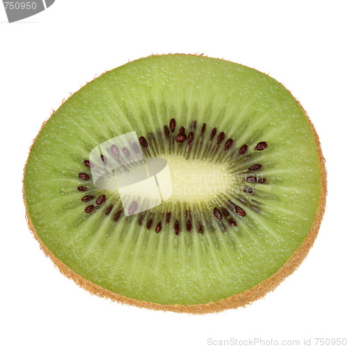 Image of Kiwi Fruit