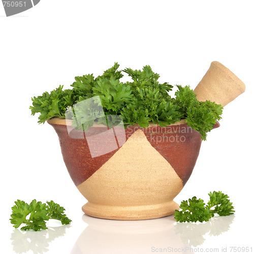 Image of Parsley Herb Leaves