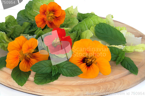 Image of Nasturtian  Flower and Herb Salad