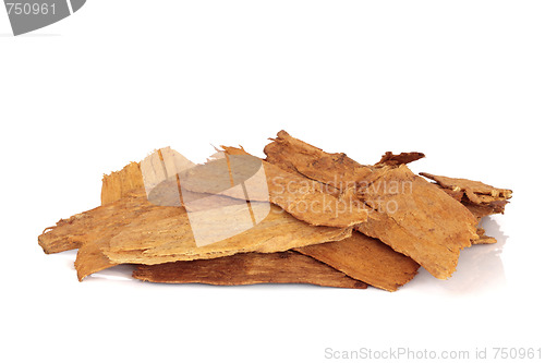 Image of Astragalus Root