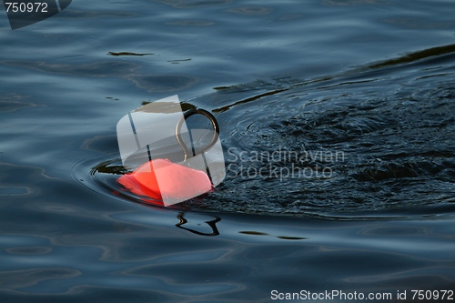 Image of Buoy