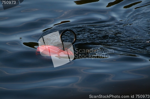 Image of Buoy