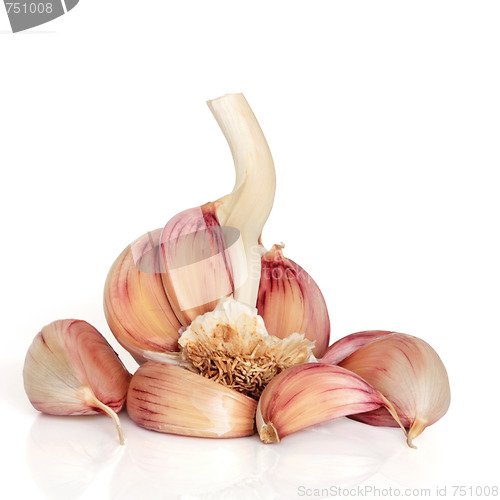 Image of Garlic Cloves