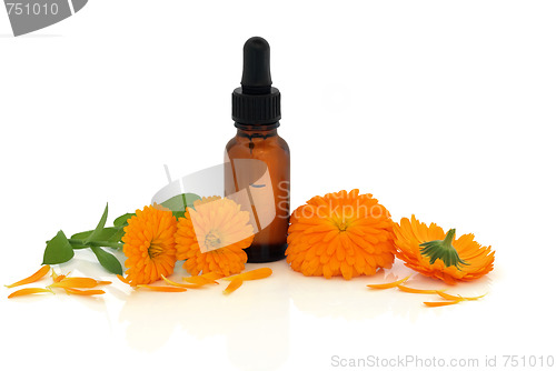 Image of Calendula Flower Essence