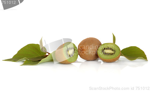 Image of Kiwi Fruit