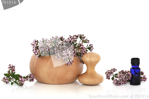 Image of Marjoram Herb with Flowers