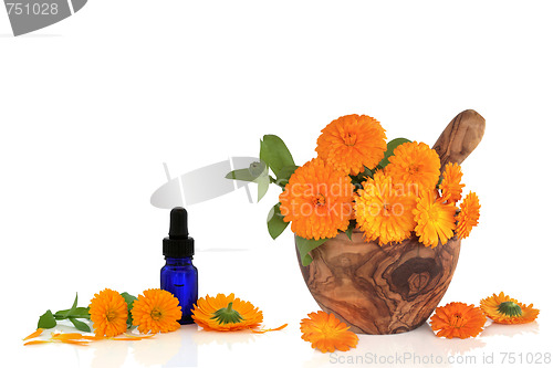 Image of Marigold Flower Essence