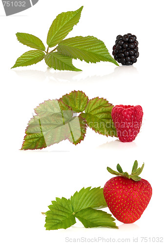 Image of Blackberry, Raspberry and Strawberry