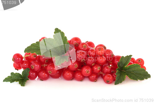 Image of Redcurrants