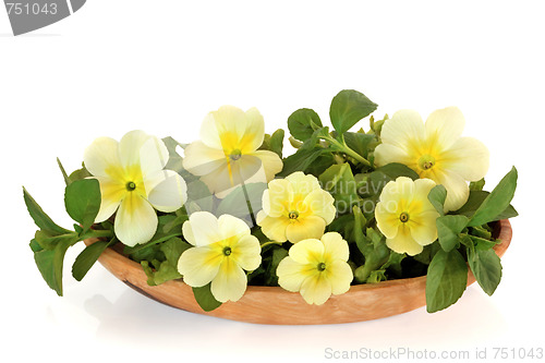 Image of Wildflower and Herb Leaf Salad