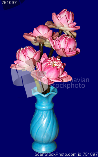Image of Lotus bouquet in vas 