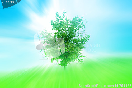 Image of green herb under blue sky