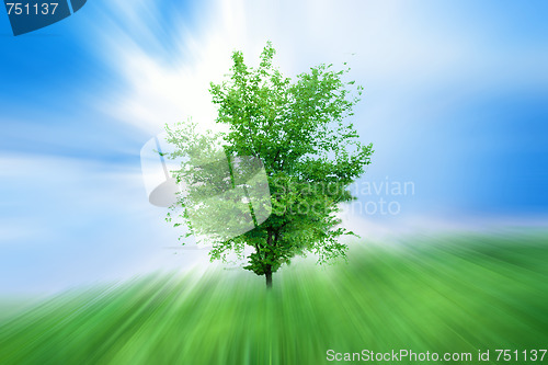 Image of green herb under blue sky