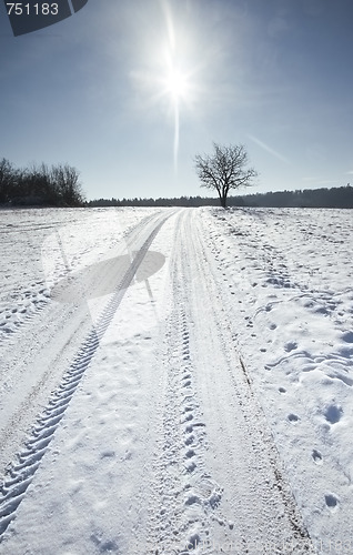 Image of snow scenery
