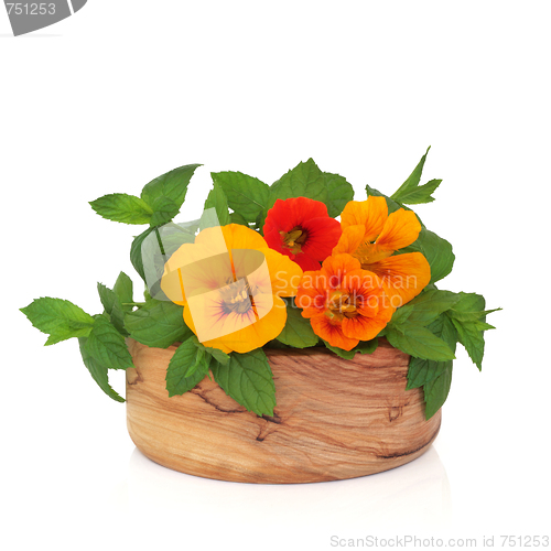 Image of Nasturtian Flowers and Mint Herb