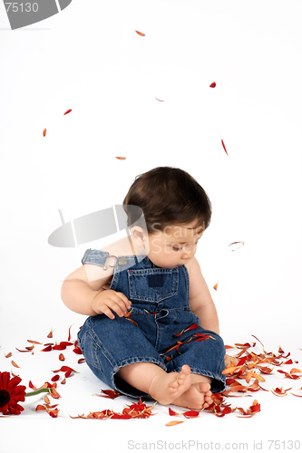 Image of Child Among Flower Petals