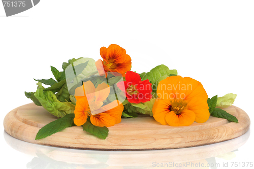 Image of Nasturtian  Flower and Herb Salad