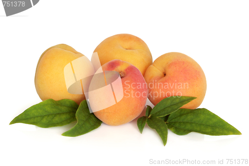 Image of Apricot Fruit