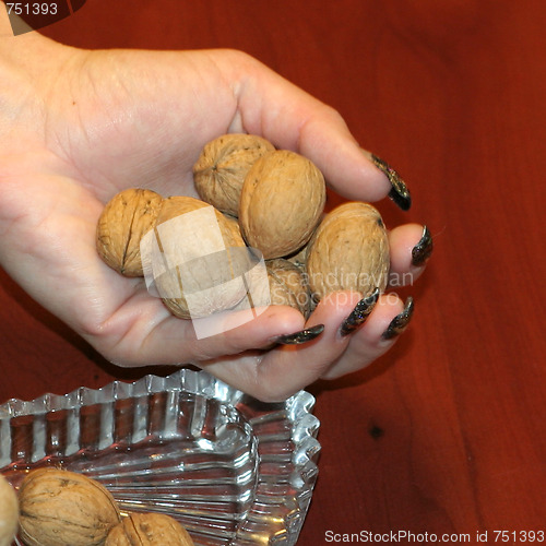 Image of ripe nut on table