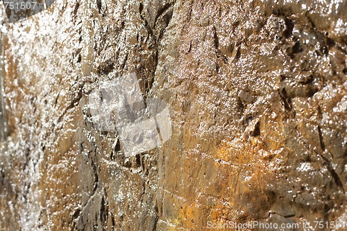 Image of Wet Rock Wall