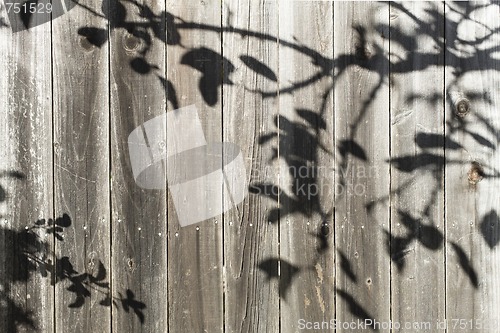 Image of Fence With Shadow