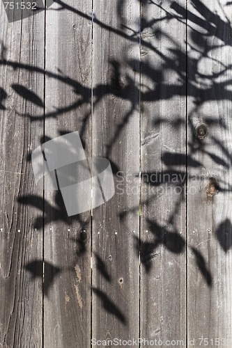 Image of Fence With Shadow