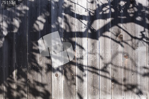 Image of Fence With Shadow