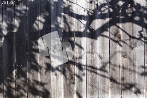 Image of Fence With Shadow