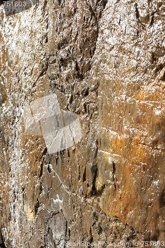 Image of Wet Rock Wall