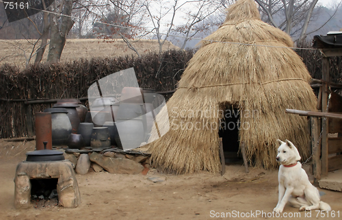 Image of Dog outside at straw hut