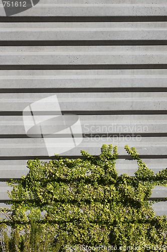 Image of Concrete Wall and Vegetation