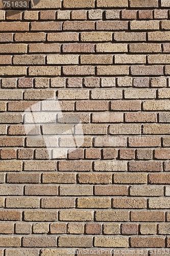 Image of Brick Wall