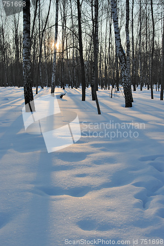 Image of Winter sunset