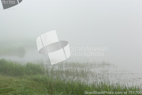 Image of Morning on the River